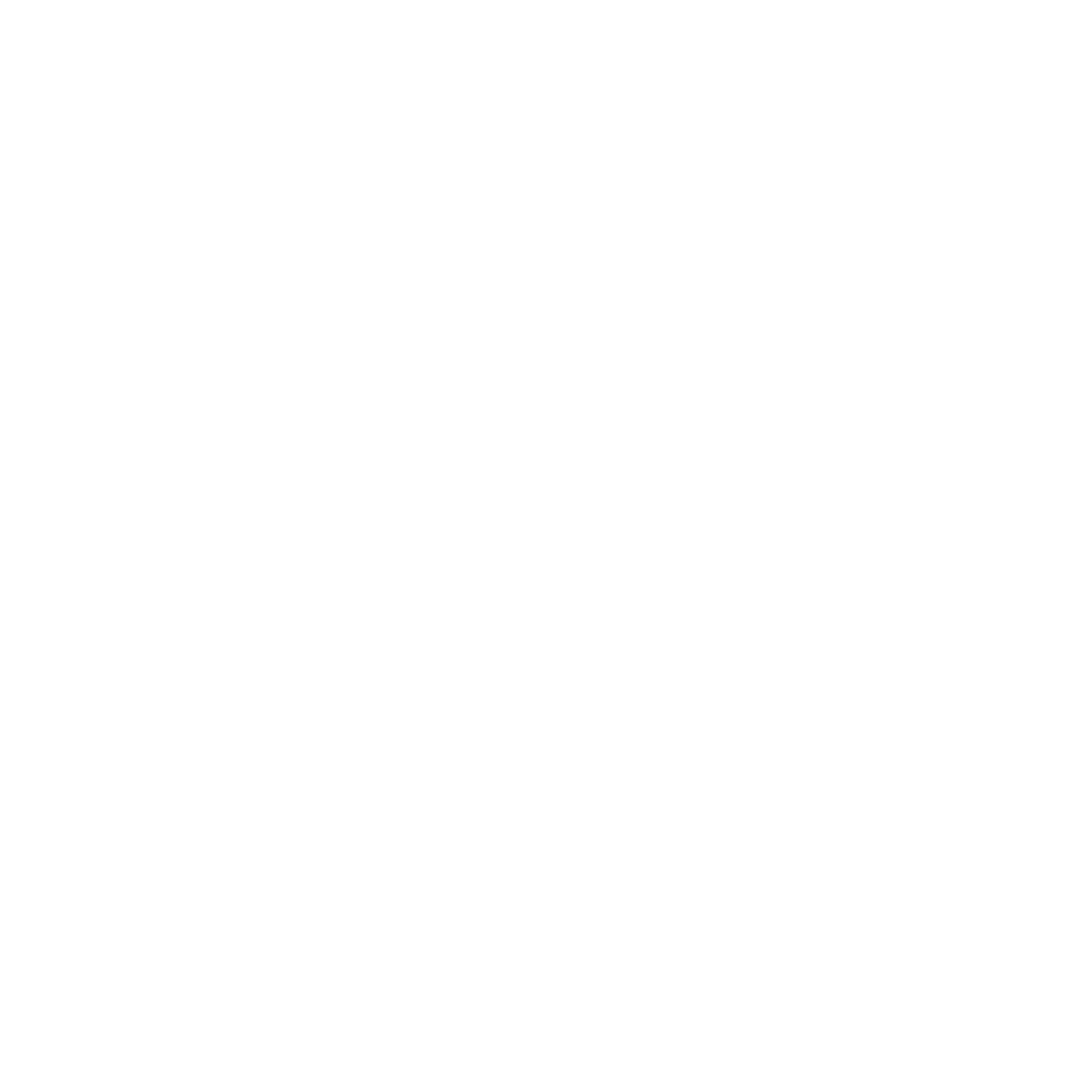 St. Petersbird logo flying pelican white